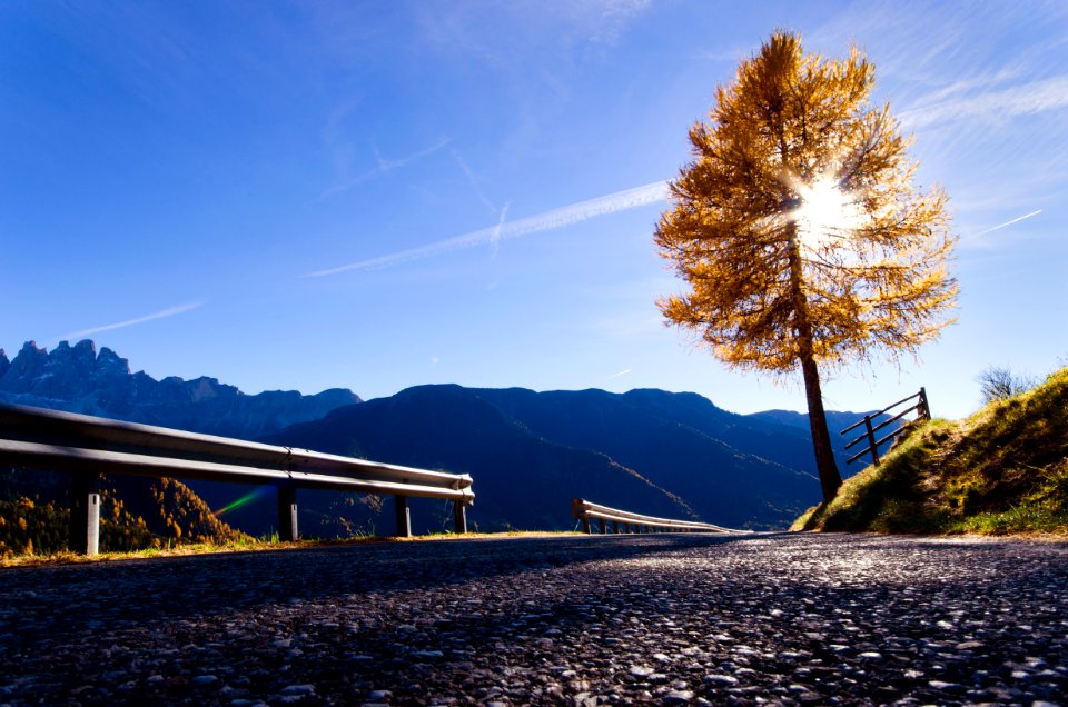 Province of bolzano  south tyrol, Italy, Fall