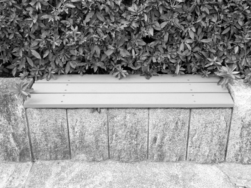 Green black and white park