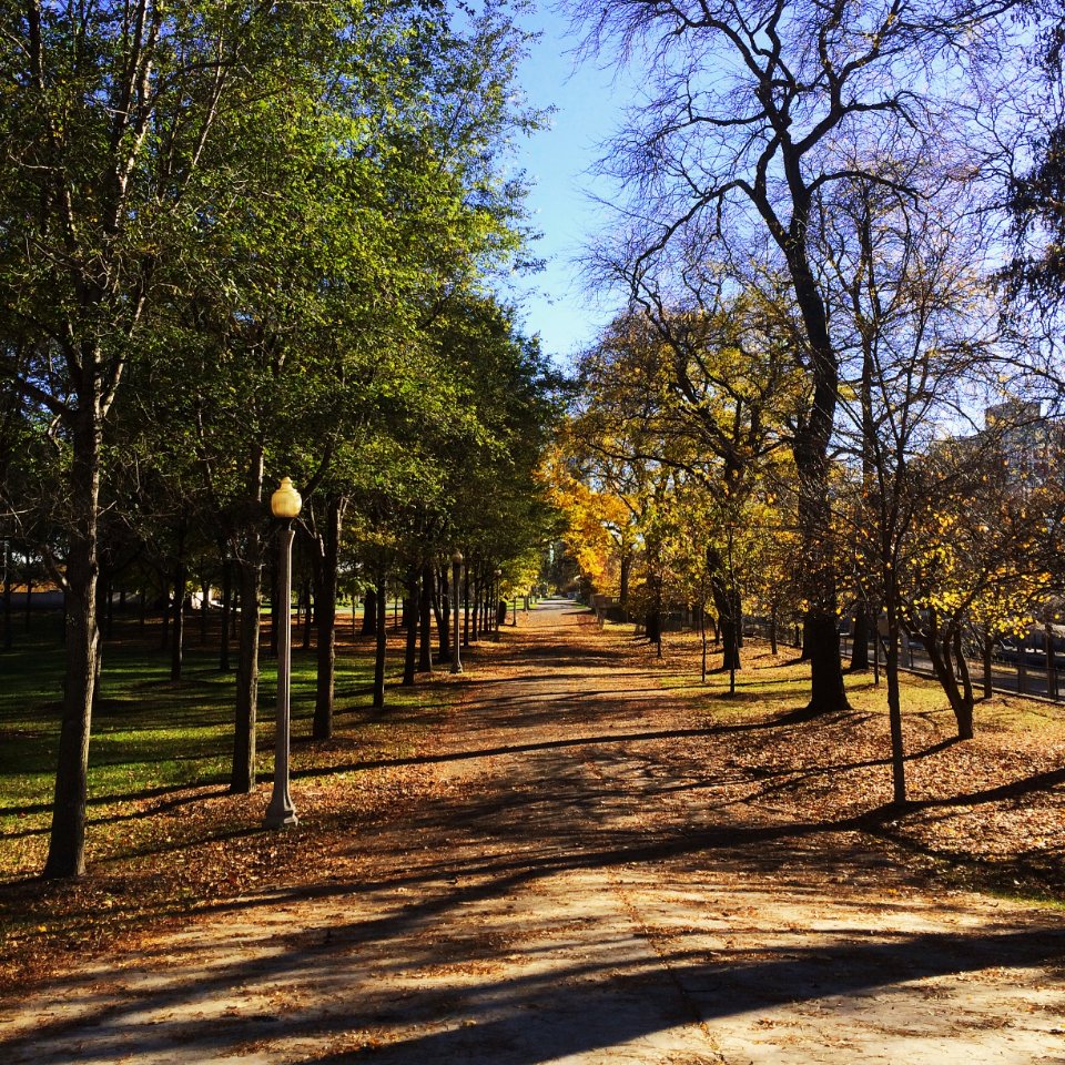Chicago, United states, Autumn