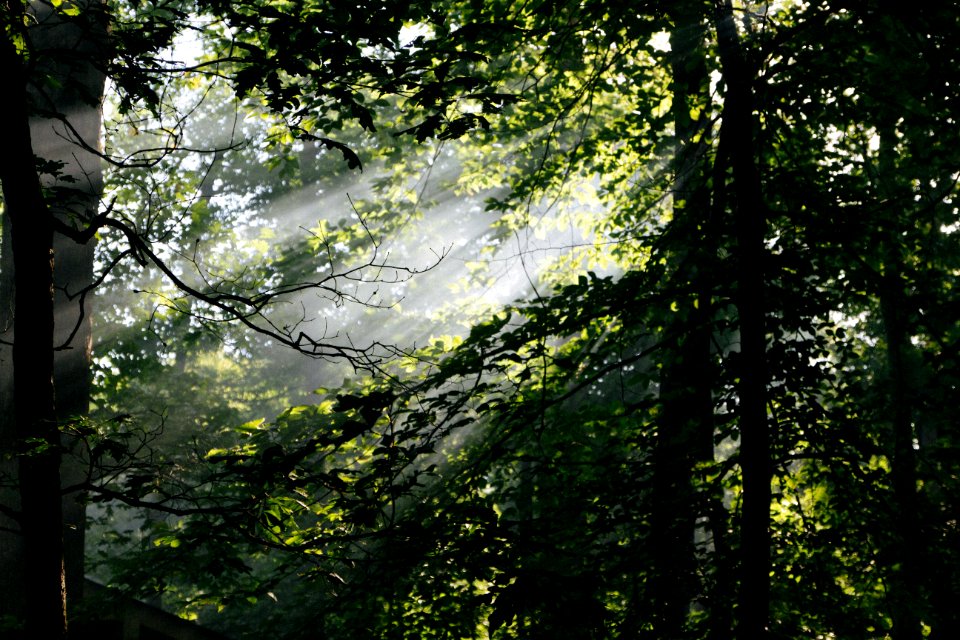 Mammoth cave, United states, Sunrise
