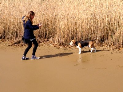 Girl, Dog, Beach photo
