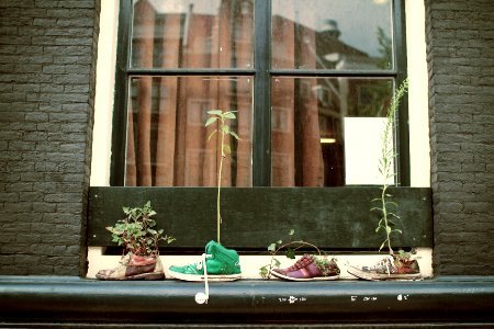 Amsterdam, Netherl, Shoes photo