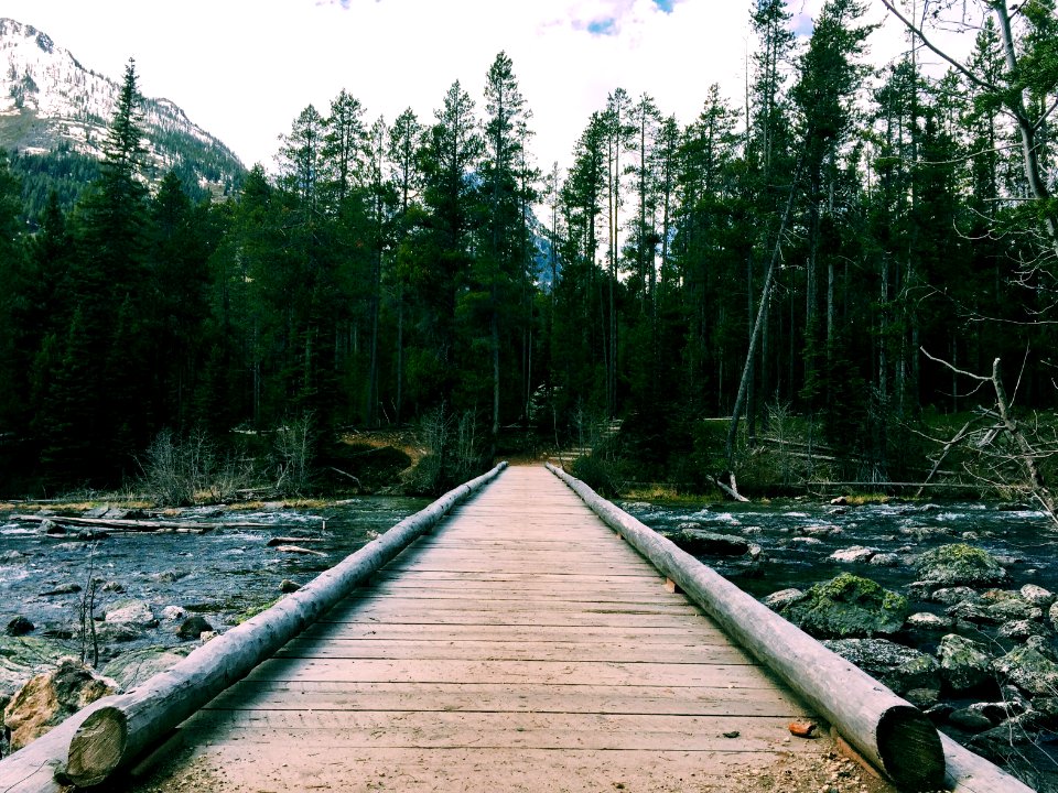 Wonder, Nature, Bridge