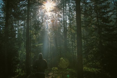 man standing in the forest photo