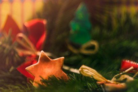 Festive, Holidays, Season
