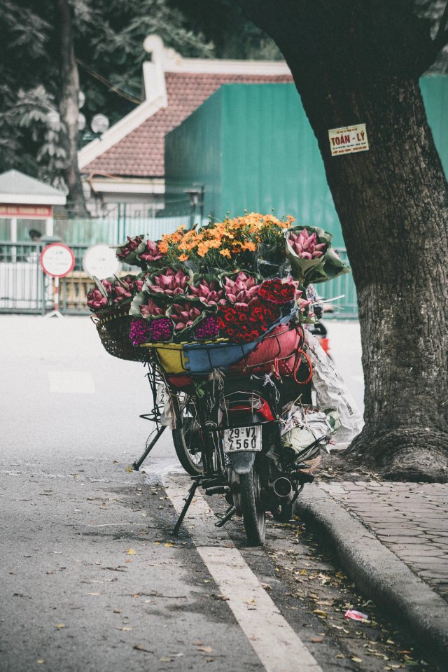 assorted-color petaled flower lot on top motorcycle photo