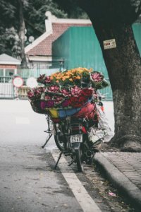 assorted-color petaled flower lot on top motorcycle photo