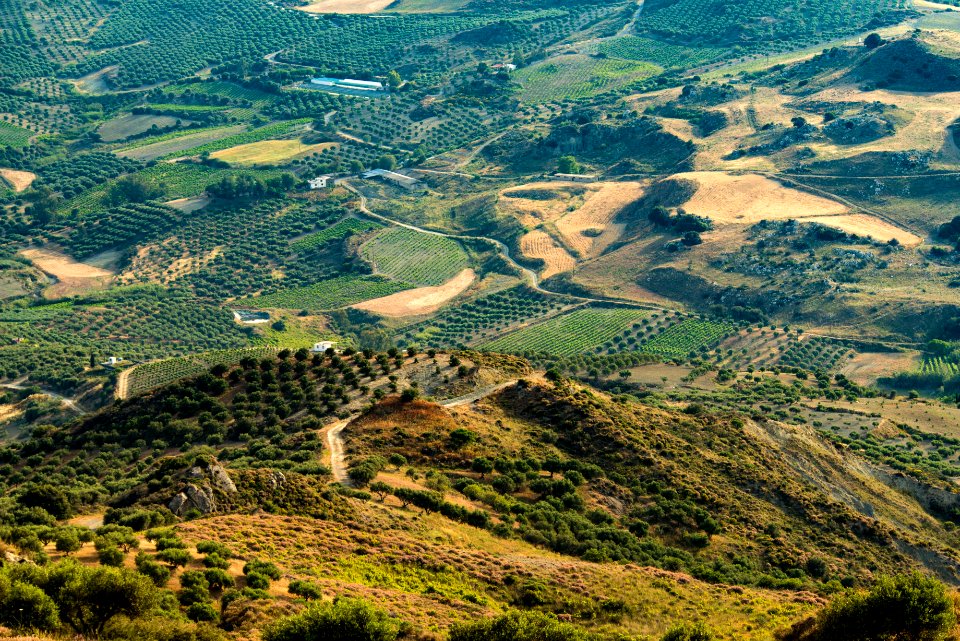 aerial photography of green field and mountain photo