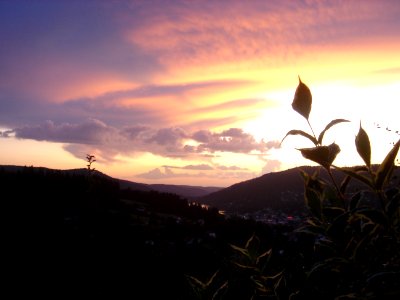 Grardmer, France, Scape