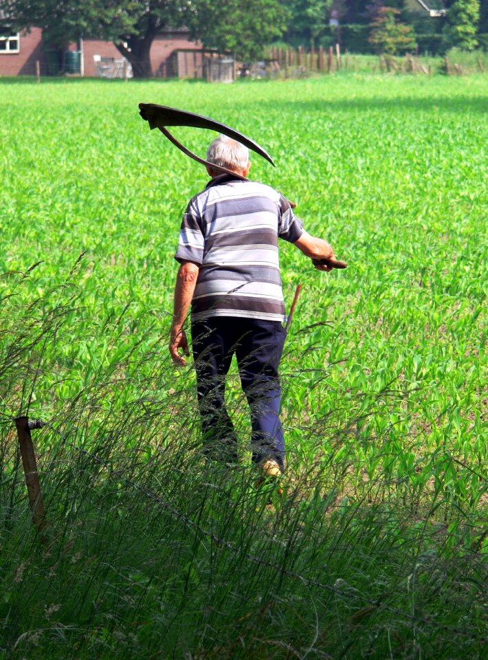Work country worker