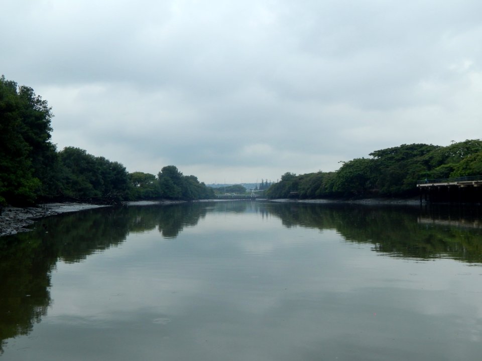 Beach, Lake, Forest photo