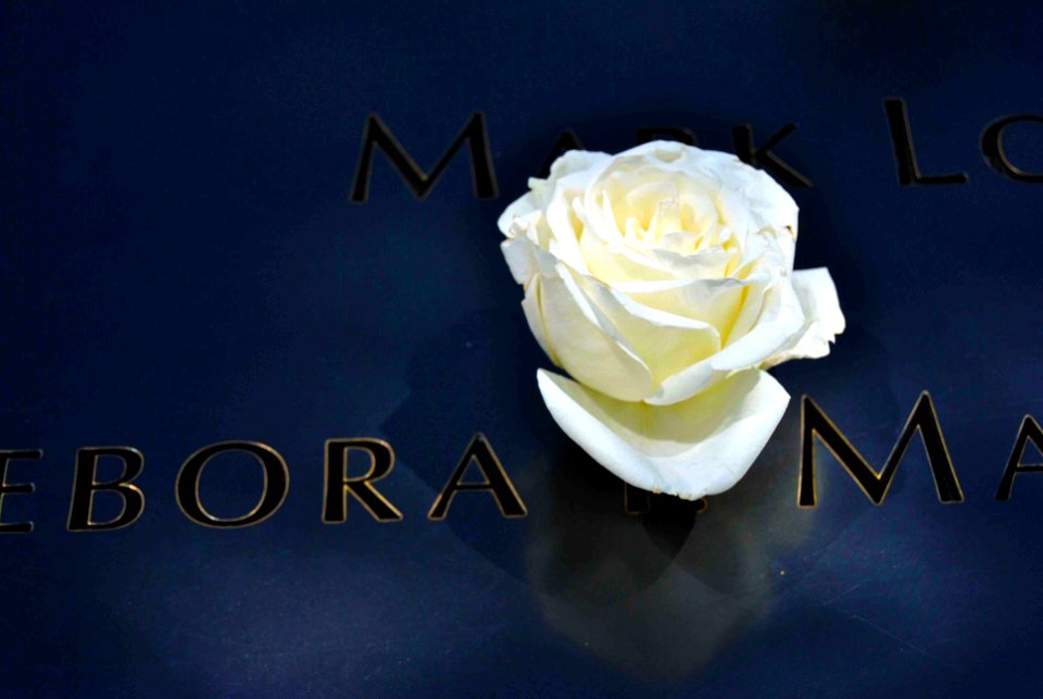 World trade center, Memorial, Roses