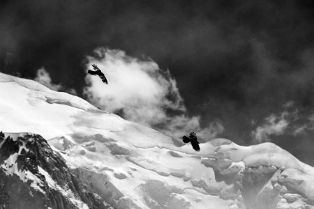 grayscale photo of two bird flying above glacier mountain photo