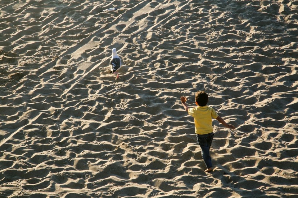 Santa monica, United states, Los angeles