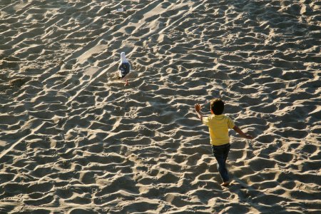Santa monica, United states, Los angeles