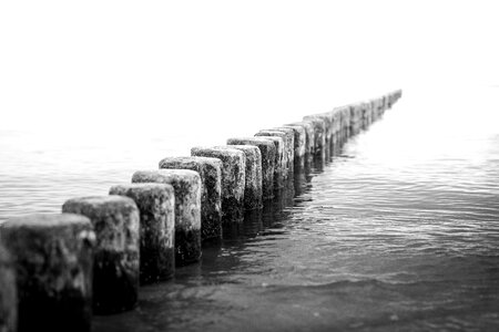 Black and white beach dream photo