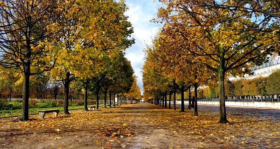 Paris, Tuileries garden, France