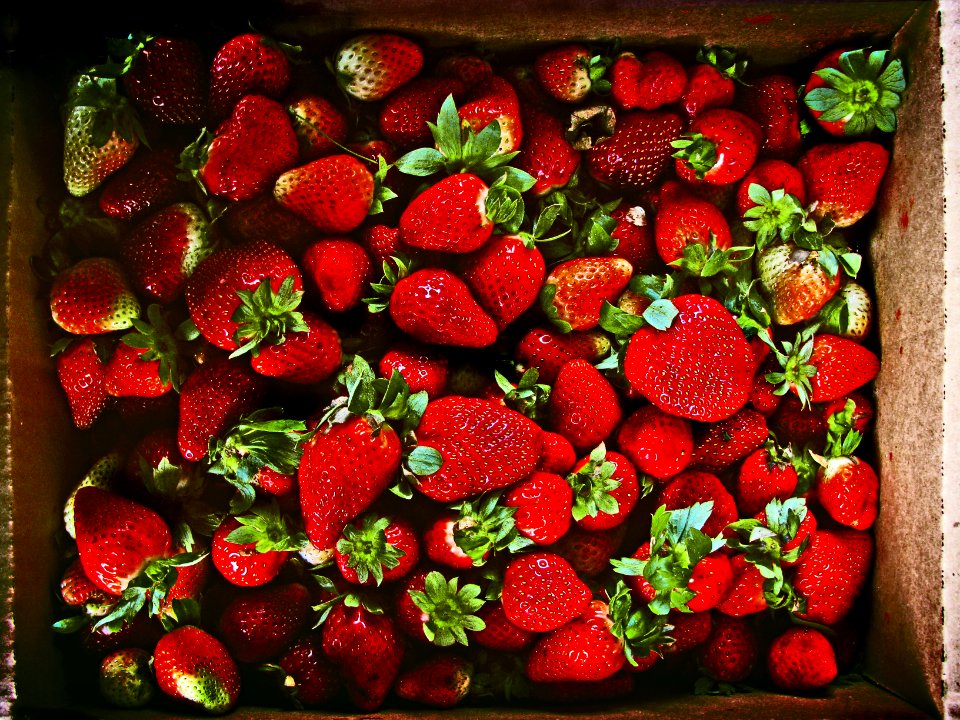 red strawberries in brown box
