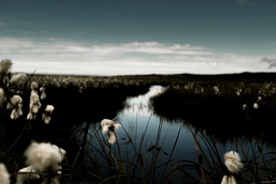 body of water under gray sky