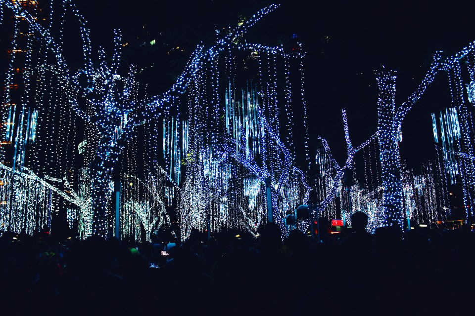 Lights, Xmas, Christmas