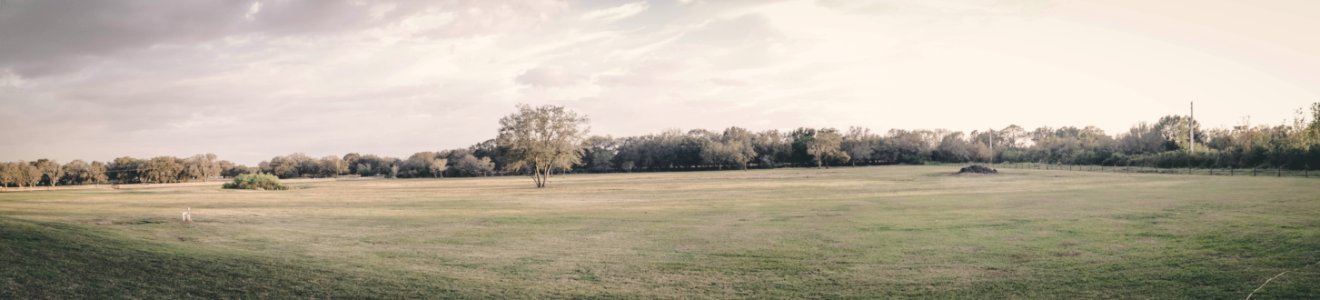 New york, Texas, United states