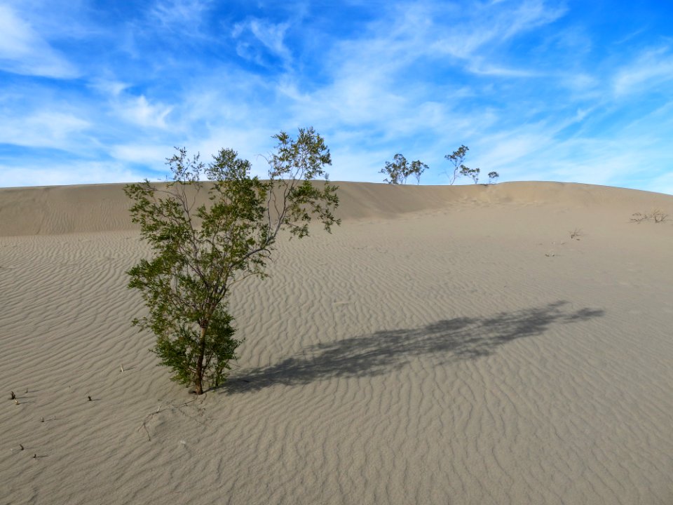 Death valley national park, Furnace creek, United states