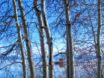 Lake tahoe, United states, Water photo