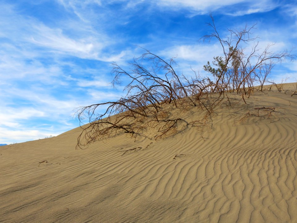 Death valley national park, Furnace creek, United states