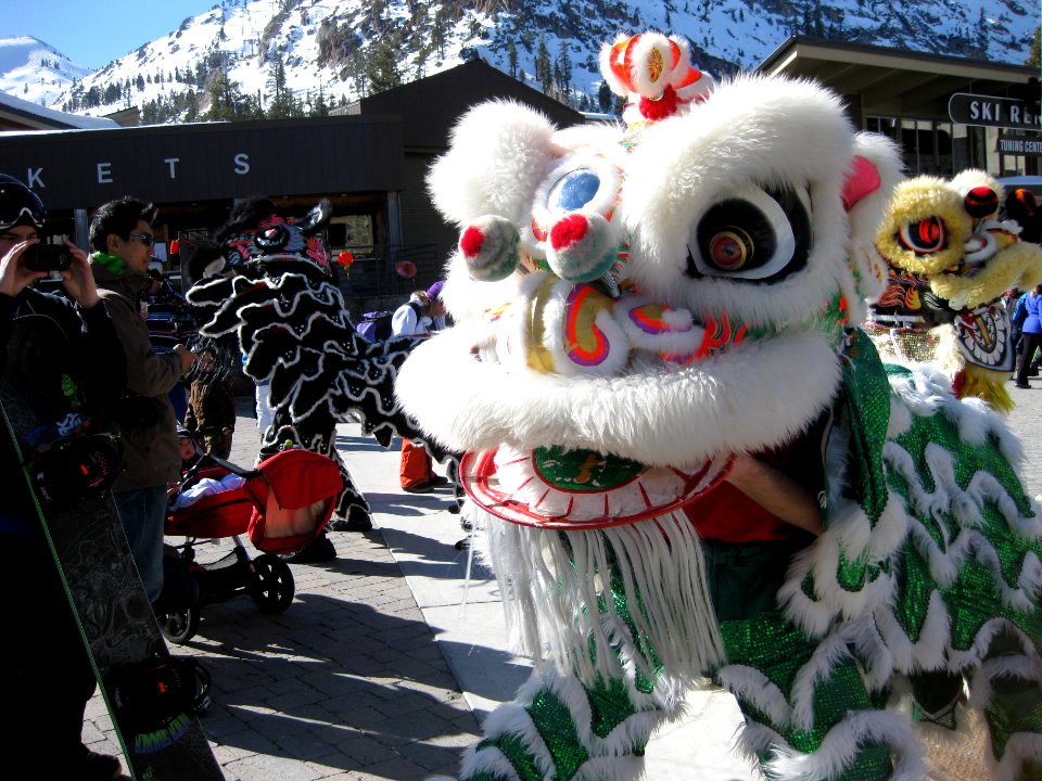 Tahoe city, United states, Chinese dragon costume