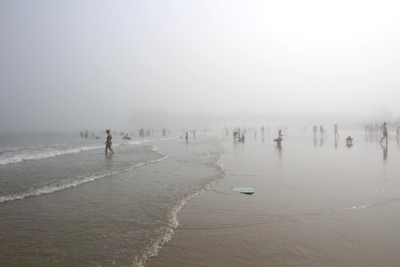 people near seashore during daytime photo