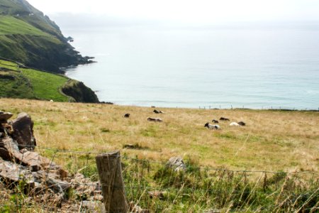 Pninsule de dingle, Irl, Coastline