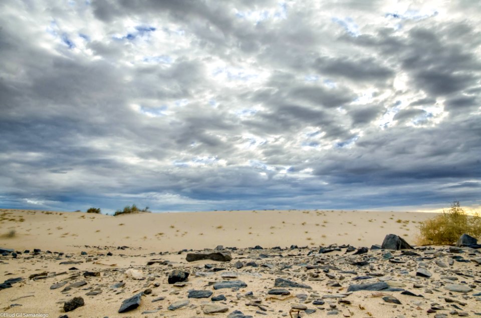 Low shot, Mexico, Dunes