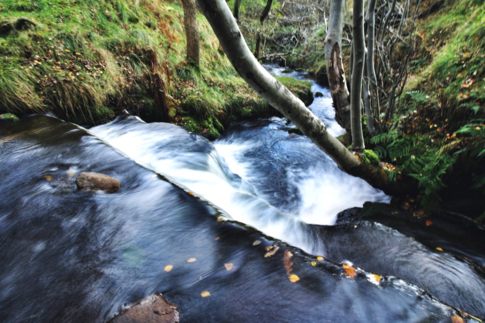 Edale, United kingdom, Nature