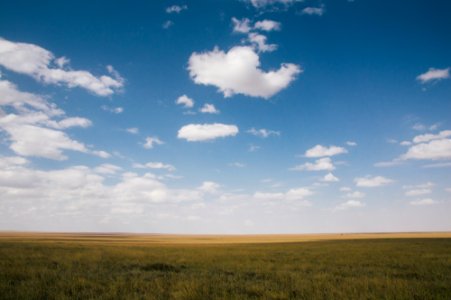 Tanzania, Serengeti national park, Plain photo