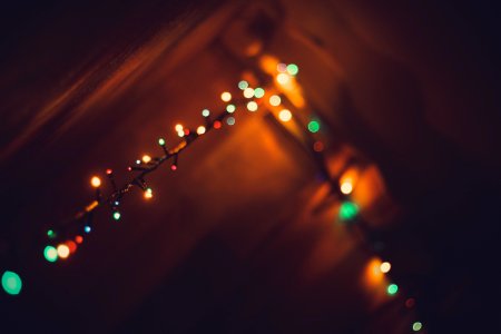 green and yellow string lights photo
