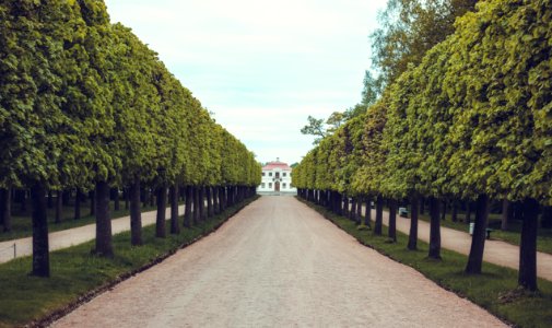 Petergof, Russia, House