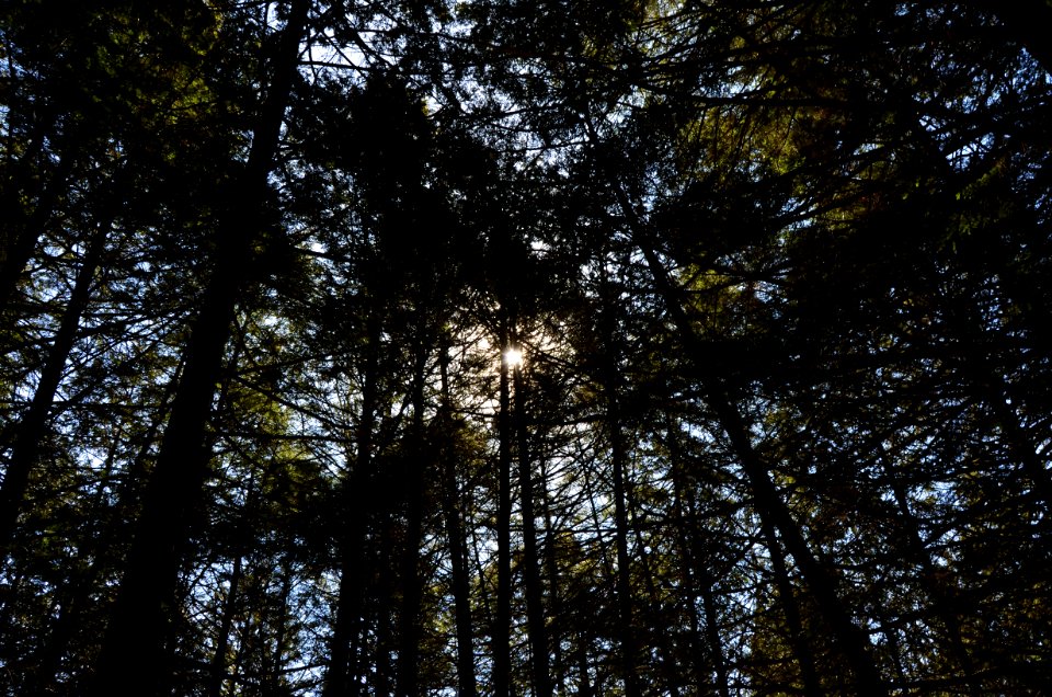 48740, Harrisville, United states