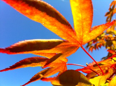 Life, Change, Fall