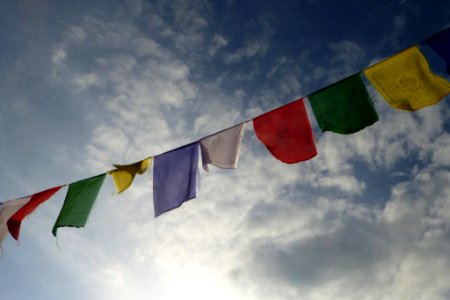 assorted-color bunting photo