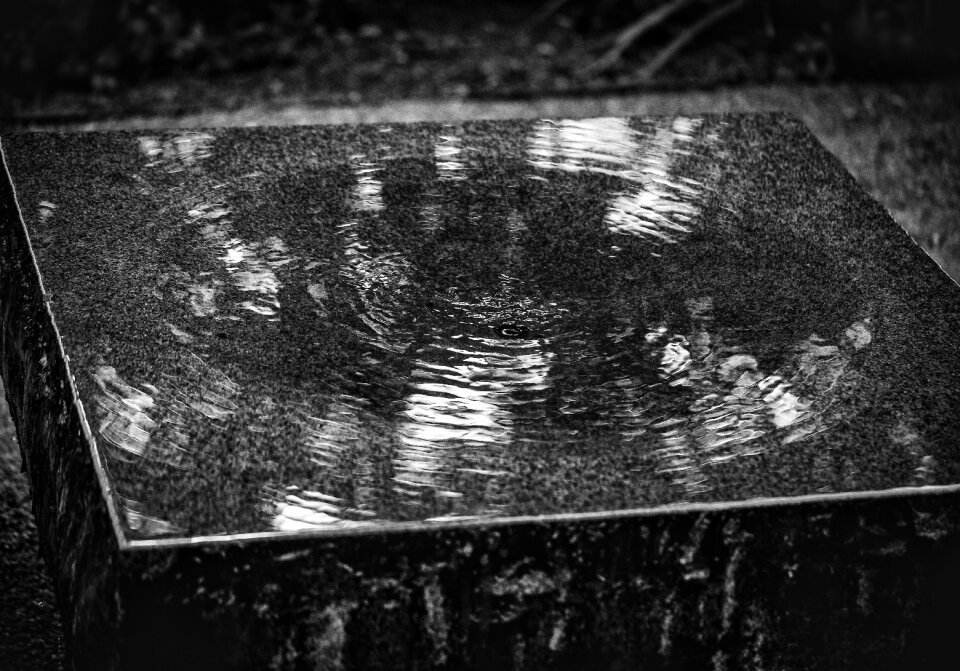 Water ripple blackandwhite bw