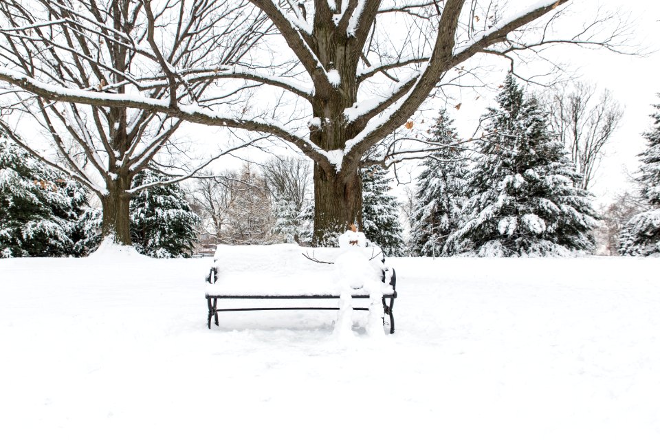 Snow day, Snowman, Park