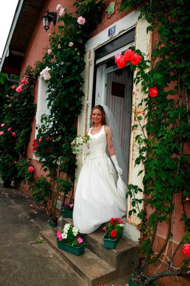Bride, Mariage, Wedding dress