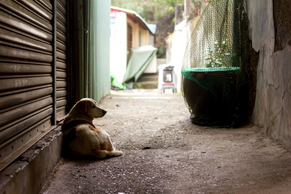 Kaohsiung city, Taiwan, Alley