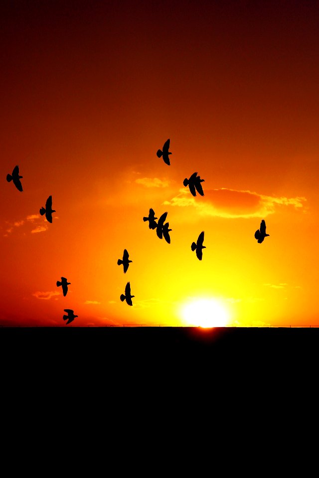 Sunset, Beijing, China