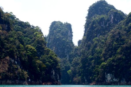 Khao sok national park, Khlong sok, Thail photo