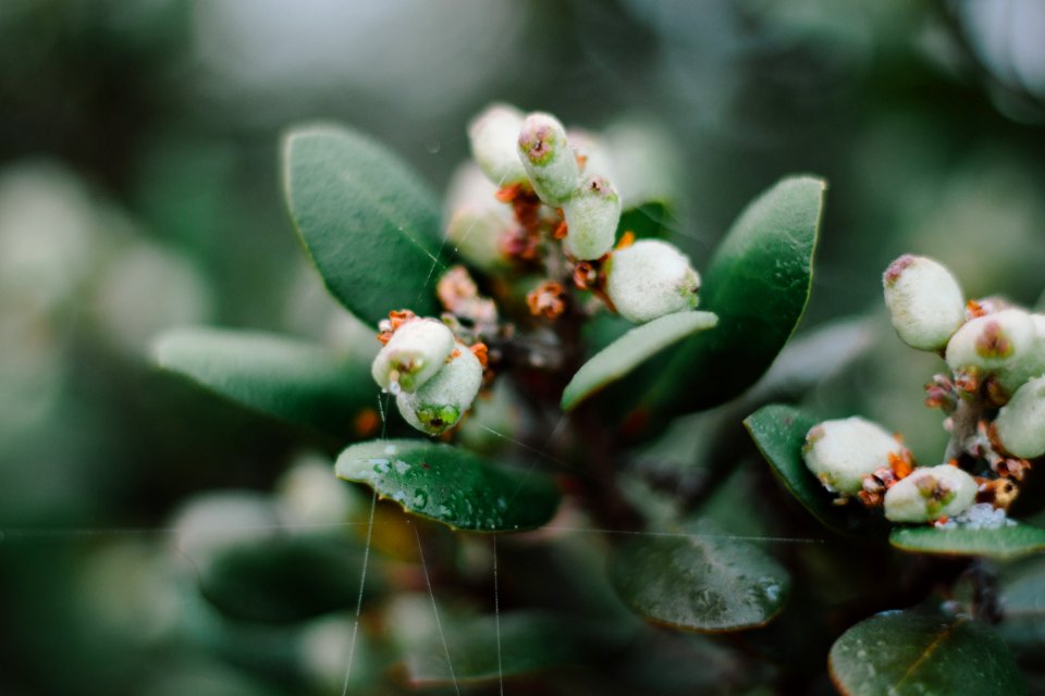 San diego, United states