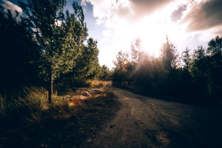 Ben shemen, Israel, Sunny photo