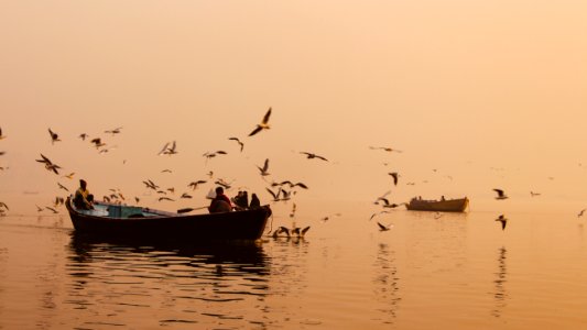 Varanasi, India, Fog photo
