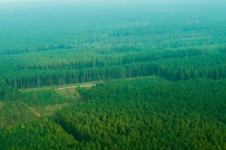 Lithuania, Top, Panorama photo