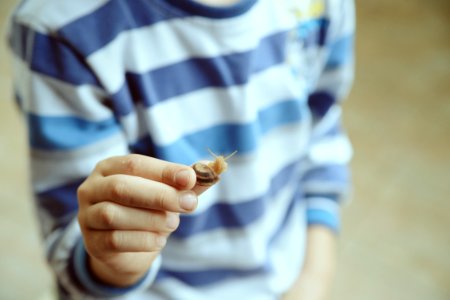 Kid, Snail photo